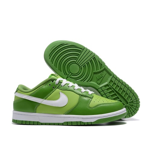 Nike DUNK 3 - GW