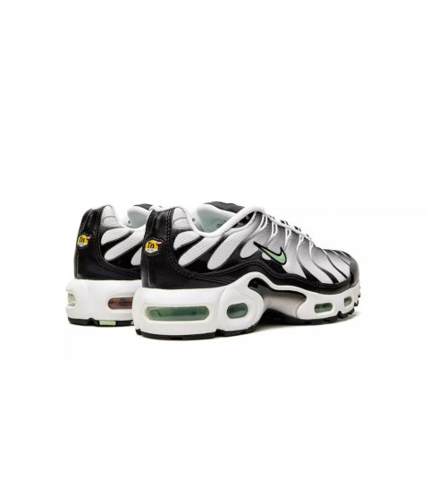 Кроссовки Nike Air Max TN Plus Silver - 322