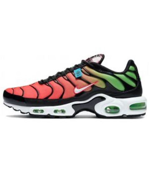 Кроссовки Nike Air Max Plus Worldwide - 330