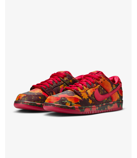 Nike SB Dunk Low Pro - 14