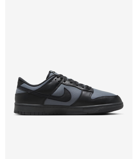 Nike Dunk Low Retro SE - 101