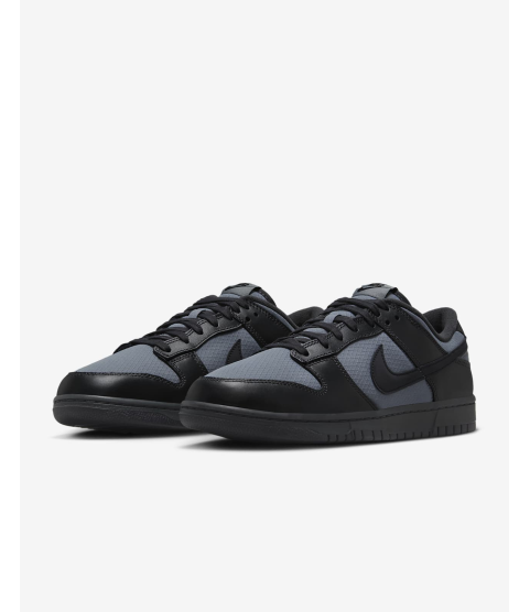 Nike Dunk Low Retro SE - 101