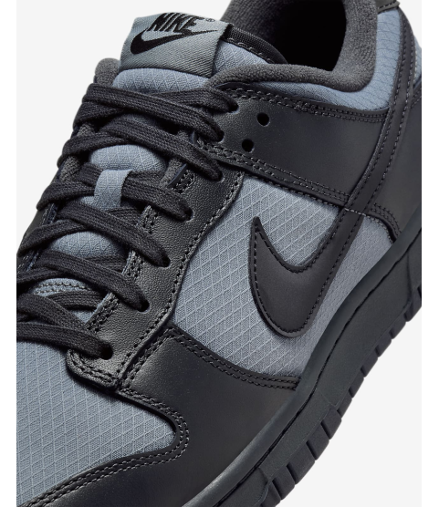 Nike Dunk Low Retro SE - 101